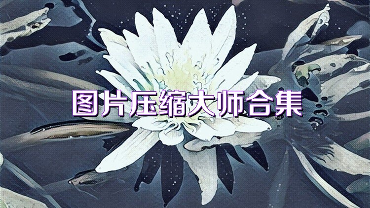 图片压缩大师合集