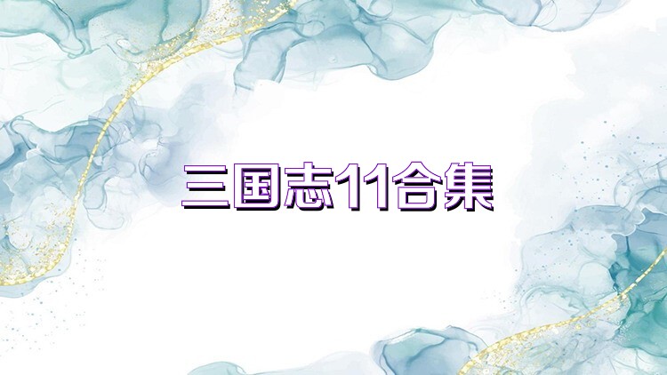 三国志11合集