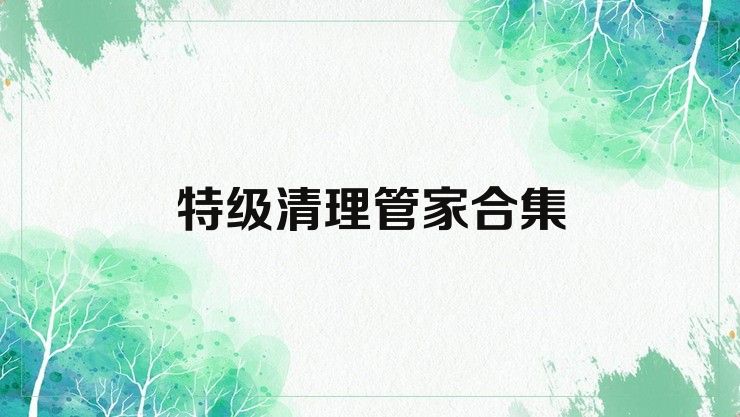 特级清理管家合集