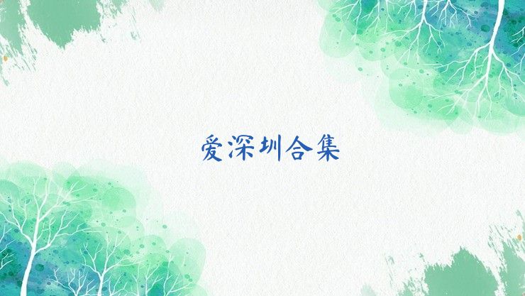 爱深圳合集