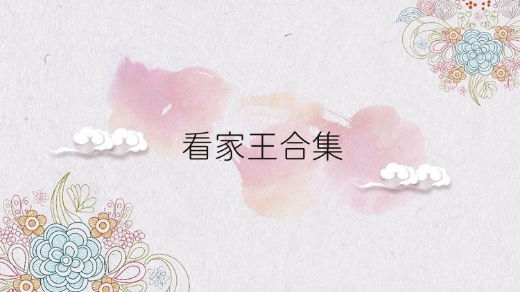 看家王合集