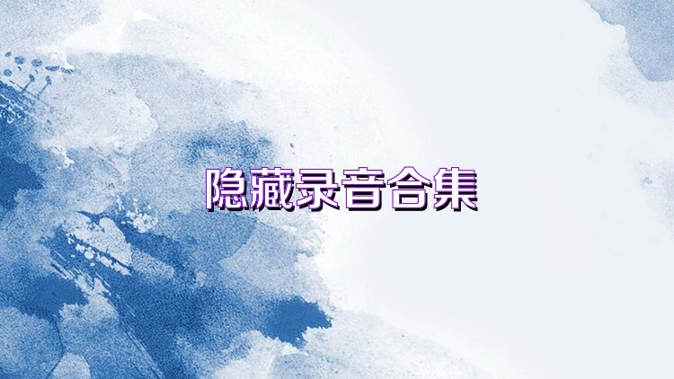 隐藏录音合集