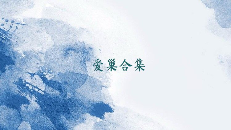 爱巢合集