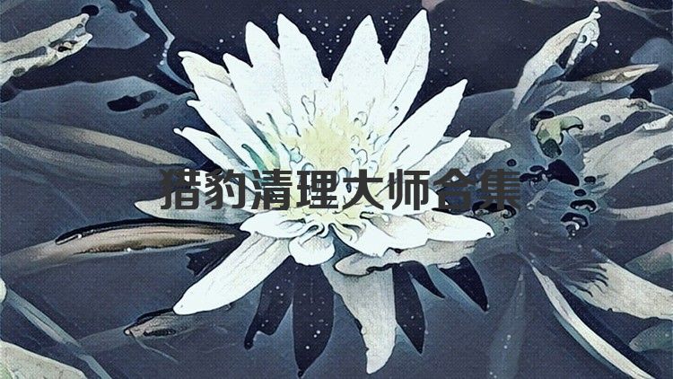 猎豹清理大师合集
