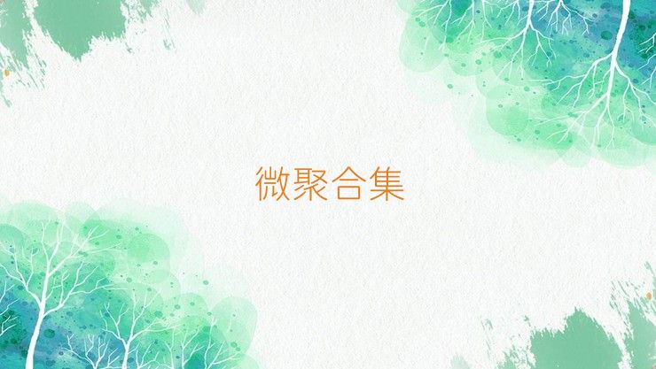 微聚合集
