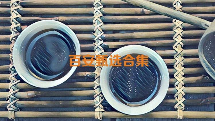 百安甄选合集