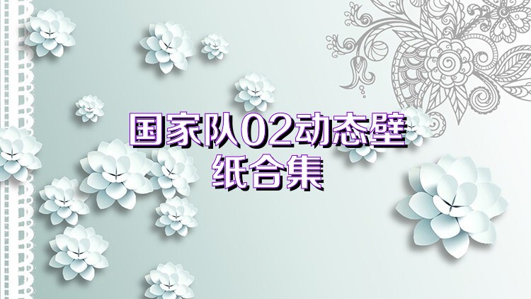 国家队02动态壁纸合集