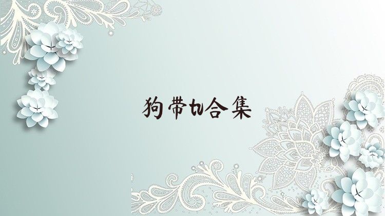 狗带tv合集