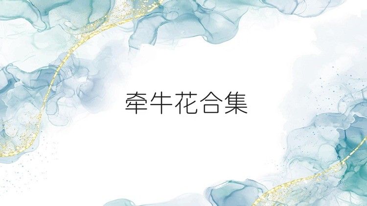 牵牛花合集