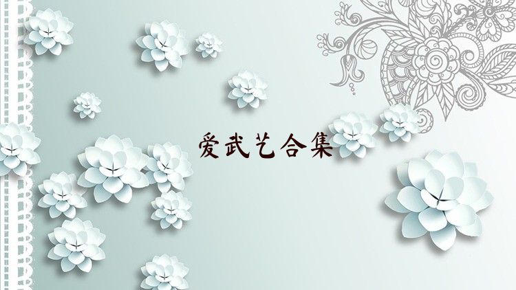 爱武艺合集
