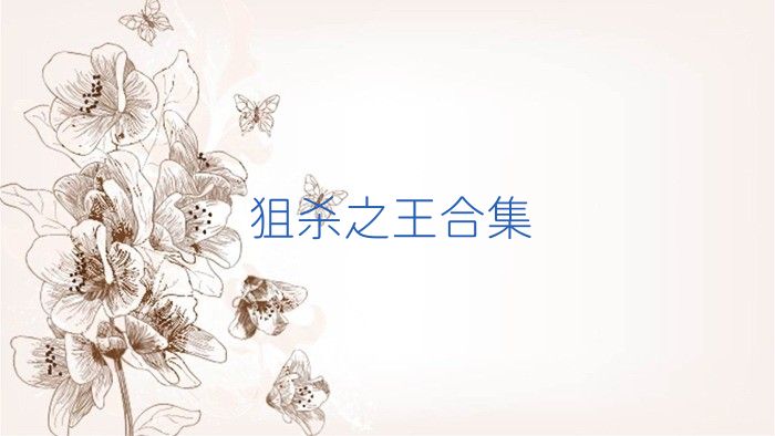 狙杀之王合集