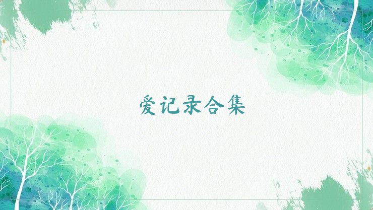 爱记录合集