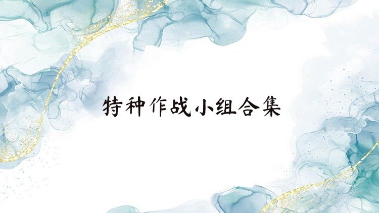 特种作战小组合集