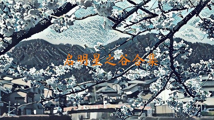 启明星之谷合集