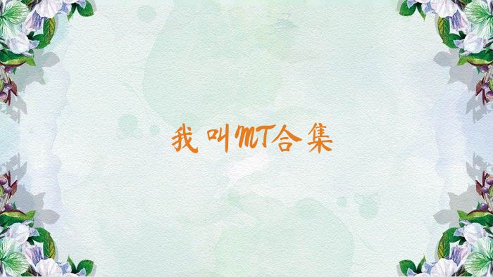 我叫MT合集