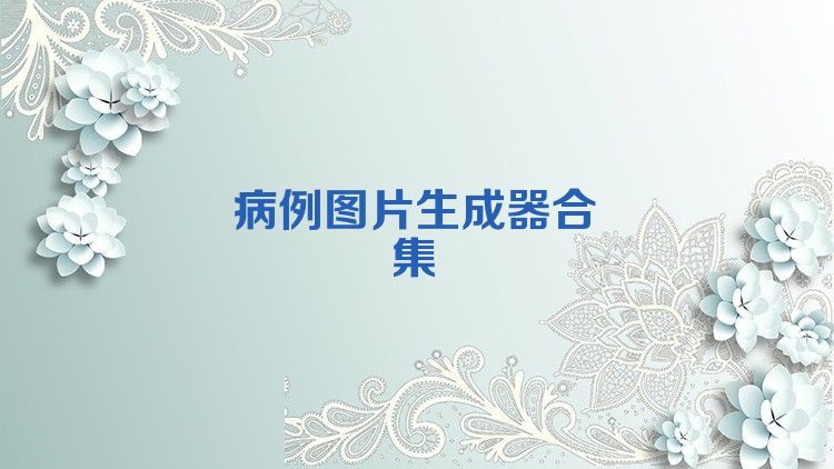 病例图片生成器合集