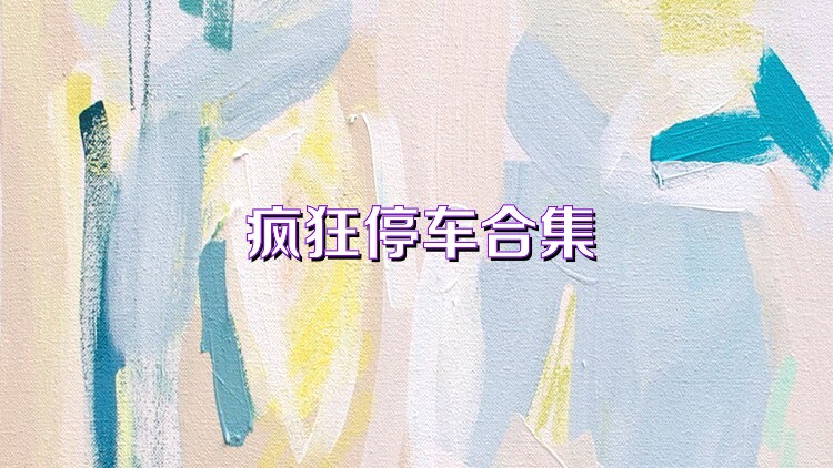 疯狂停车合集
