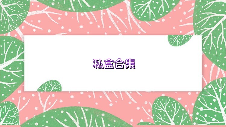 私盒合集