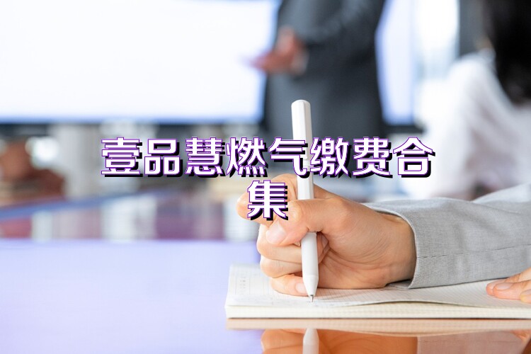 壹品慧燃气缴费合集