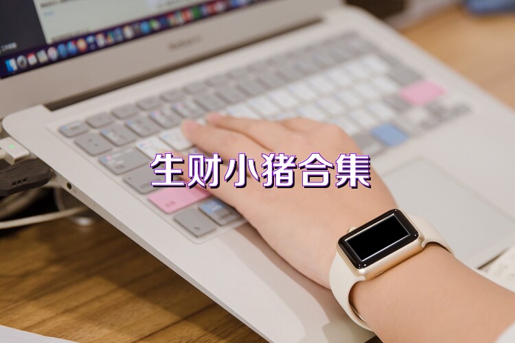 生财小猪合集