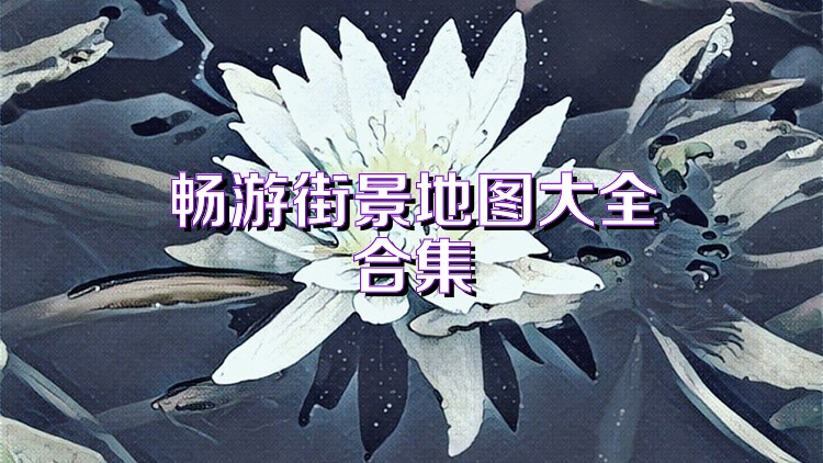 畅游街景地图大全合集