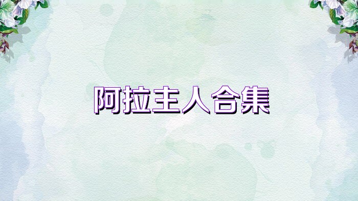 阿拉主人合集