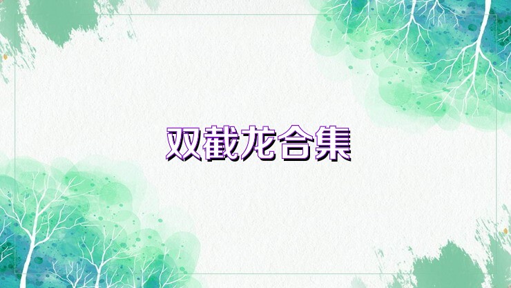 双截龙合集