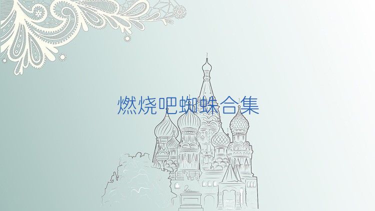 燃烧吧蜘蛛合集