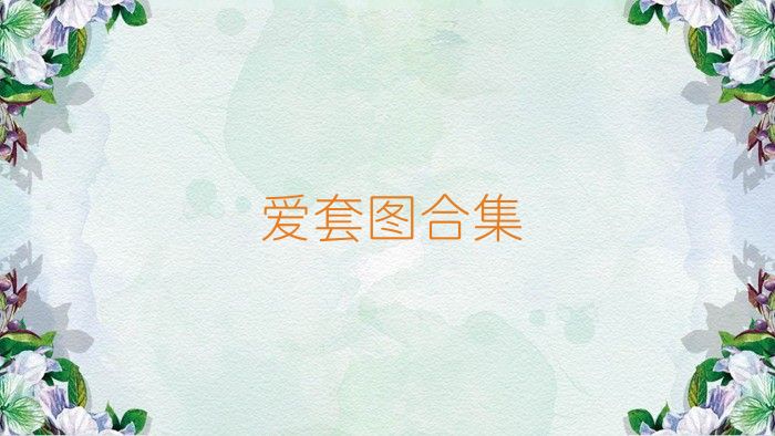 爱套图合集