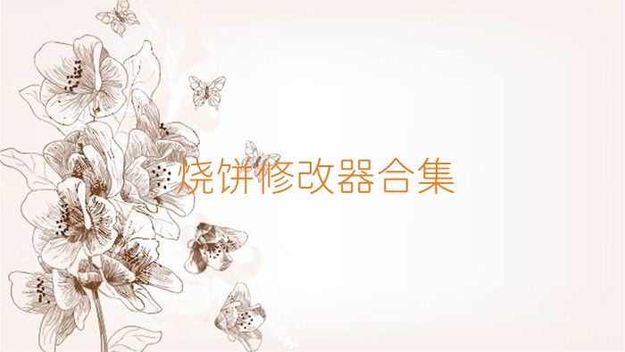 烧饼修改器合集