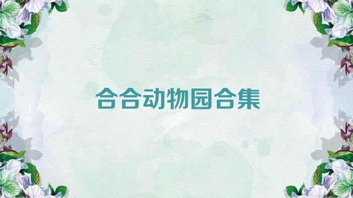 合合动物园合集