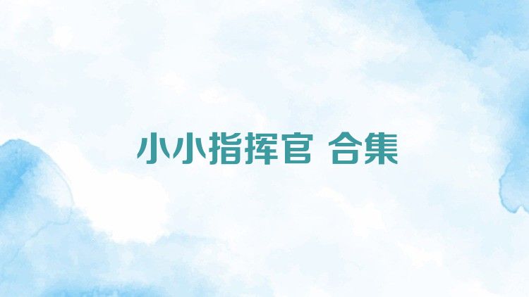 小小指挥官 合集