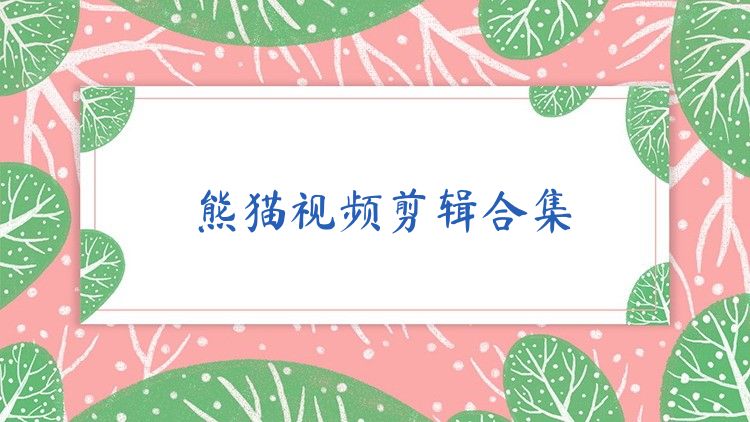 熊猫视频剪辑合集