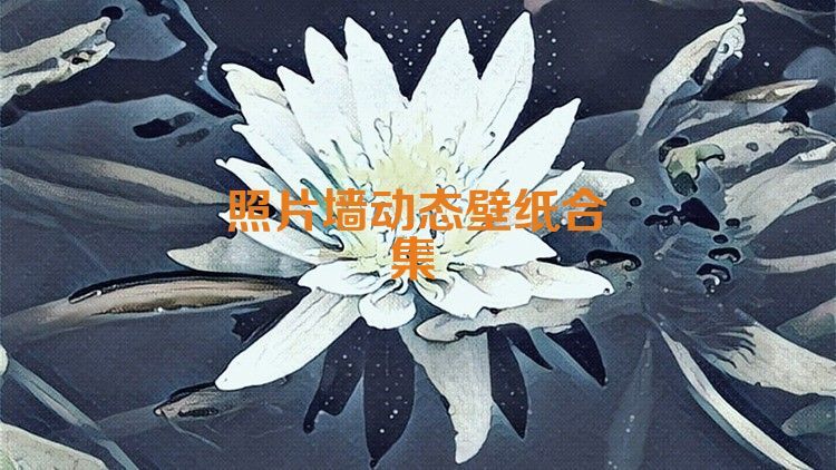 照片墙动态壁纸合集