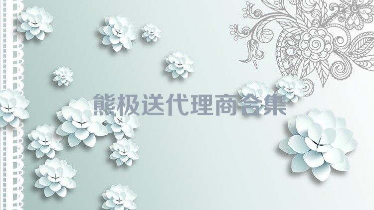 熊极送代理商合集