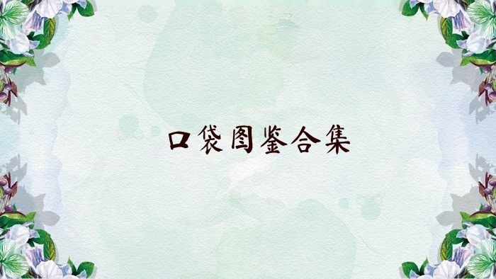 口袋图鉴合集