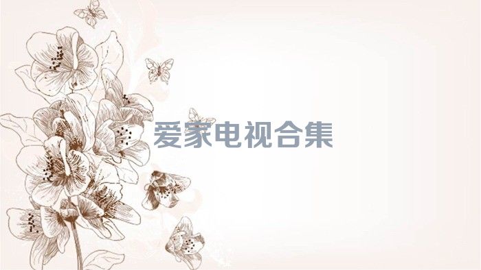 爱家电视合集