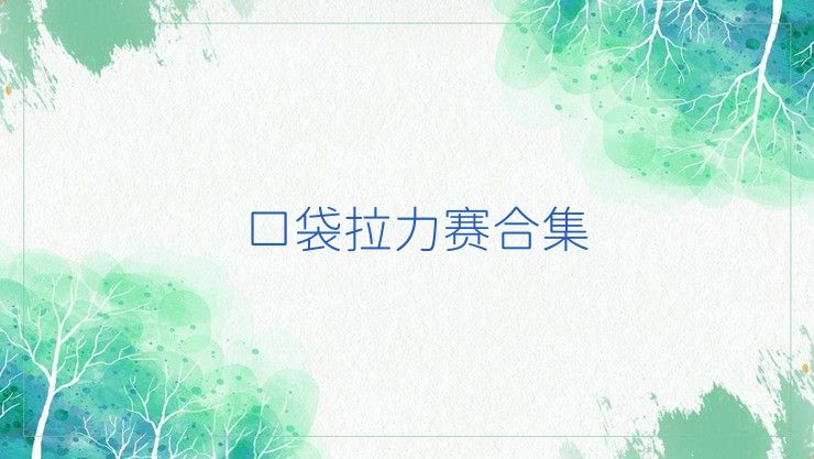 口袋拉力赛合集