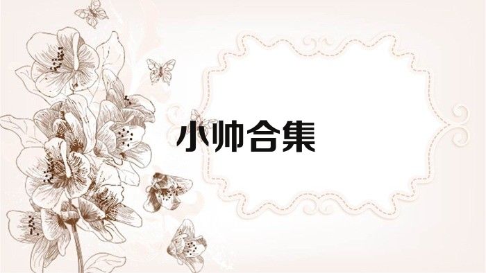 小帅合集