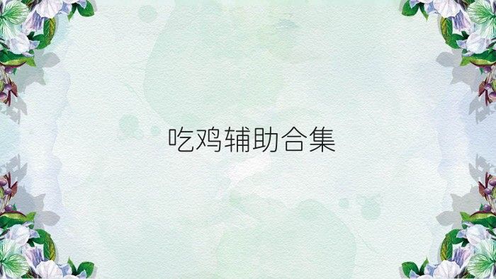 吃鸡辅助合集