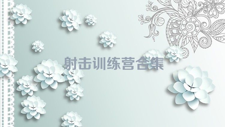 射击训练营合集