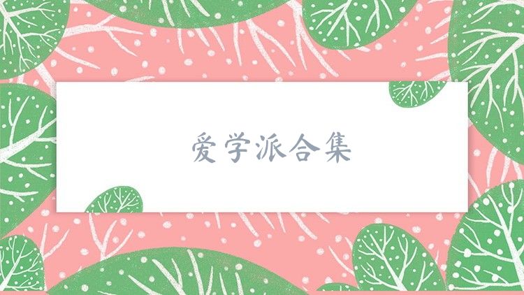 爱学派合集