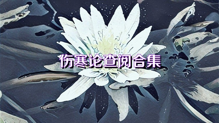 伤寒论查阅合集