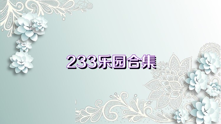 233乐园合集