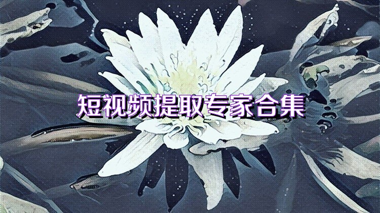 短视频提取专家合集