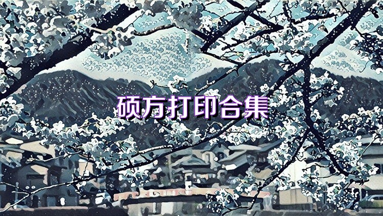 硕方打印合集