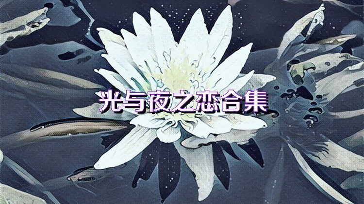 光与夜之恋合集